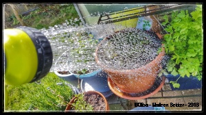 009-water-geven.jpg