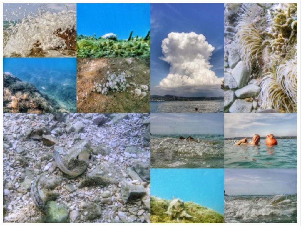 collage-onderwater-klein.jpg